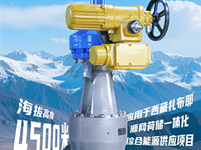 4500米！良固閥門集團服務全球海拔最高的光熱電站